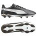 Бутси Puma King Match FG/AG 107570 01