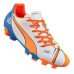 Бутси Puma Evopower 4.2 Pop Fg 103649 01