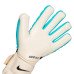 Вратарские перчатки Nike Gk Phantom Elite CN6724-455